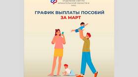 Что такое дата выплат в Сплав