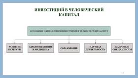 Что такое инвестиции в человеческий капитал в Сплав