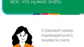 Для чего организация требует СНИЛС в Сплав