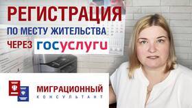 Как иностранному гражданину зарегистрироваться на Госуслугах самостоятельно в Сплав