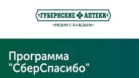 Как накопить много бонусов СберСпасибо в Сплав