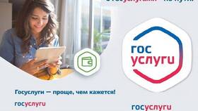 Как оформить регистрацию через Госуслуги в Сплав