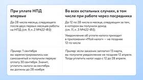 Как оплачивается налог для самозанятых в Сплав