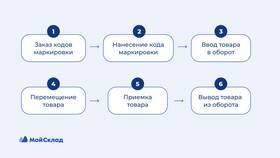 Как определить код товара в Сплав
