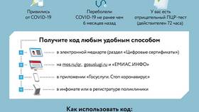 Как отсканировать QR-код с телефона в Сплав