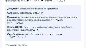 Как подать заявление судебным приставам через Госуслуги в Сплав