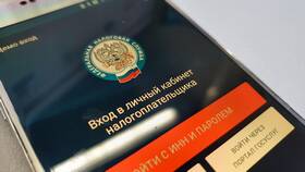 Как получить справку 2-НДФЛ через портал Госуслуги в Сплав