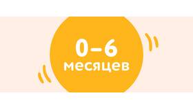 Как проверить наличие товара в магазинах «Детский мир» в Сплав