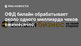 Подписка X5 Билайн — что это? в Сплав