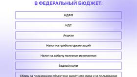 Зачем государству необходимы налоги в Сплав