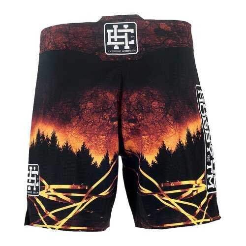 Шорты для единоборств Extreme Hobby Athletic Bear разноцветные, XL, 190 см в Сплав