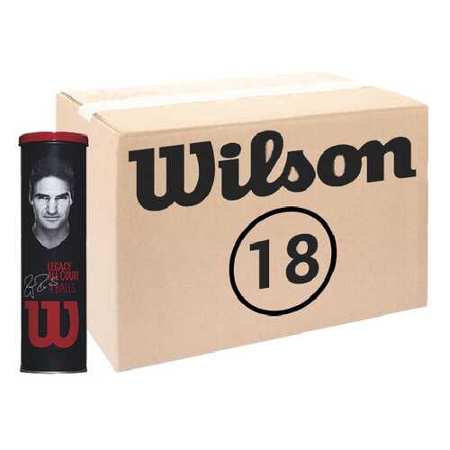 Теннисные мячи Wilson Roger Federer Legacy All Court 72 мяча элитный мяч в железной банке. в Сплав