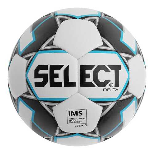 Футбольный мяч Select Delta №5 white/black/blue в Сплав