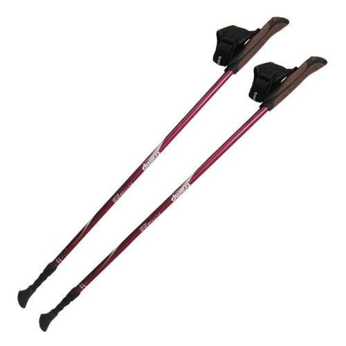 Треккинговые палки Tramp Fitness 84-135 см TRR-011 под рост 130-200 см в Сплав