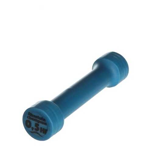 Гантель неразборная Absolute Champion P72435 0,5 кг в Сплав